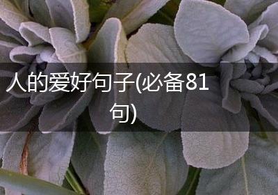人的爱好句子(必备81句)