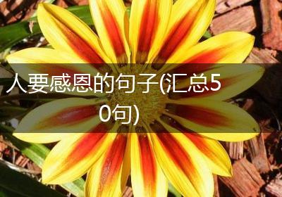 人要感恩的句子(汇总50句)