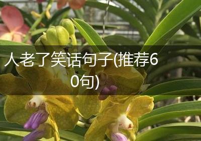 人老了笑话句子(推荐60句)