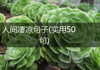 人间凄凉句子(实用50句)
