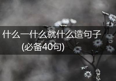 什么一什么就什么造句子(必备40句)