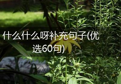 什么什么呀补充句子(优选60句)