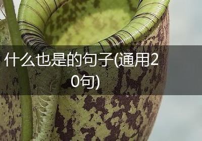 什么也是的句子(通用20句)