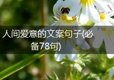 人间爱意的文案句子(必备78句)