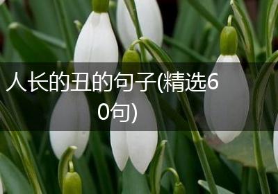 人长的丑的句子(精选60句)