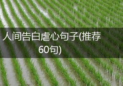人间告白虐心句子(推荐60句)