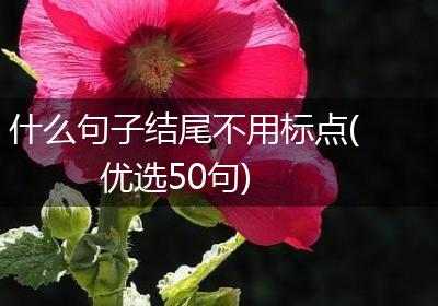 什么句子结尾不用标点(优选50句)