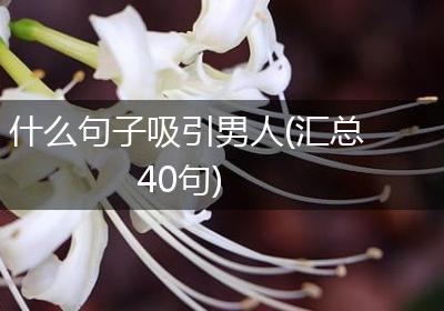 什么句子吸引男人(汇总40句)