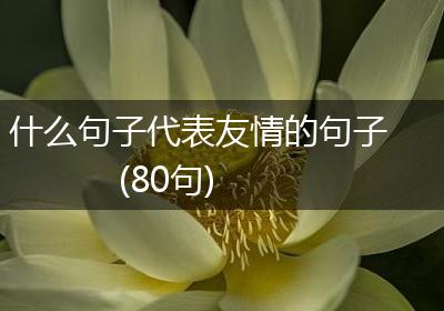 什么句子代表友情的句子(80句)