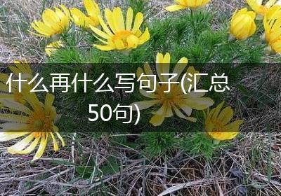 什么再什么写句子(汇总50句)