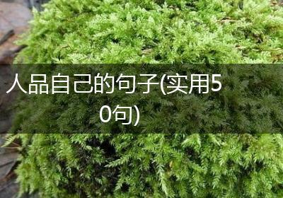 人品自己的句子(实用50句)