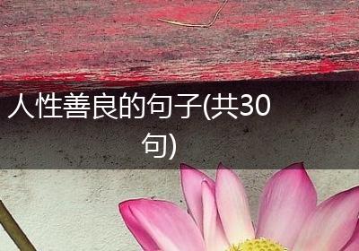 人性善良的句子(共30句)