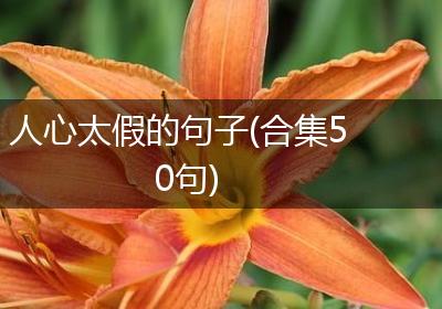 人心太假的句子(合集50句)