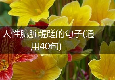 人性肮脏龌蹉的句子(通用40句)