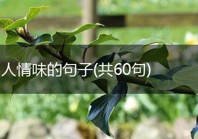 人情味的句子(共60句)