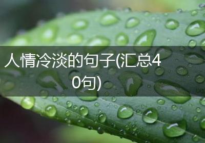 人情冷淡的句子(汇总40句)