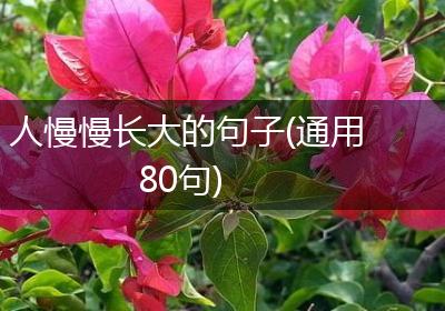 人慢慢长大的句子(通用80句)