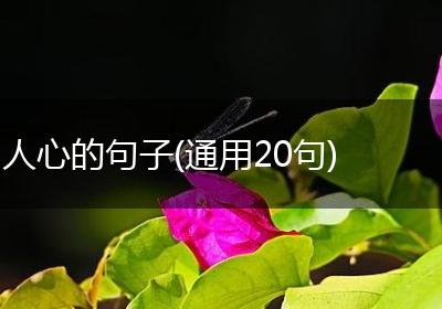 人心的句子(通用20句)