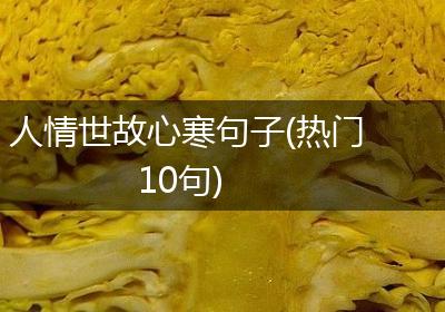 人情世故心寒句子(热门10句)