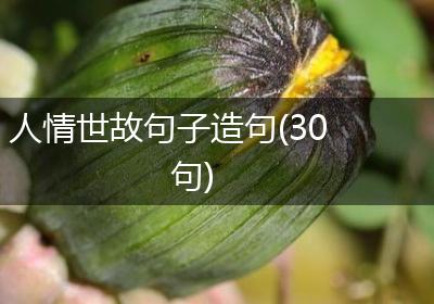 人情世故句子造句(30句)