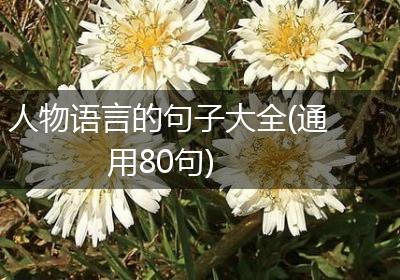 人物语言的句子大全(通用80句)