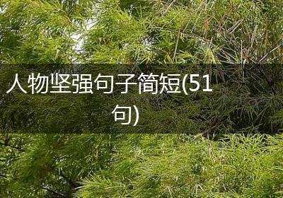 人物坚强句子简短(51句)