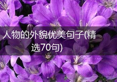 人物的外貌优美句子(精选70句)