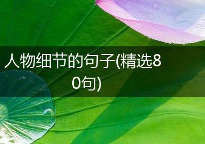 人物细节的句子(精选80句)