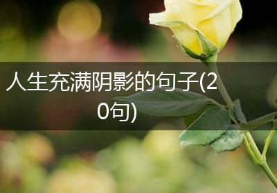 人生充满阴影的句子(20句)