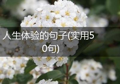 人生体验的句子(实用50句)