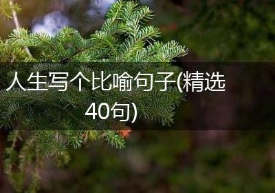 人生写个比喻句子(精选40句)