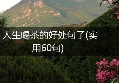 人生喝茶的好处句子(实用60句)