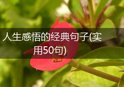 人生感悟的经典句子(实用50句)