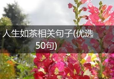 人生如茶相关句子(优选50句)