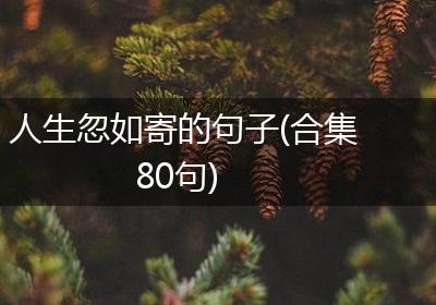 人生忽如寄的句子(合集80句)