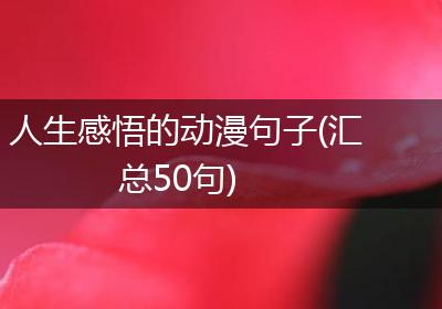 人生感悟的动漫句子(汇总50句)