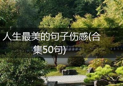 人生最美的句子伤感(合集50句)