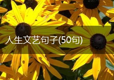 人生文艺句子(50句)