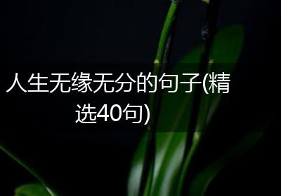 人生无缘无分的句子(精选40句)