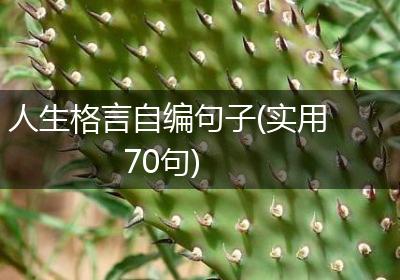 人生格言自编句子(实用70句)