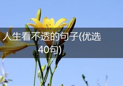 人生看不透的句子(优选40句)