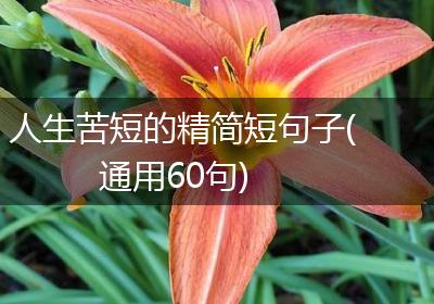 人生苦短的精简短句子(通用60句)
