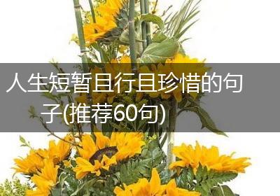 人生短暂且行且珍惜的句子(推荐60句)