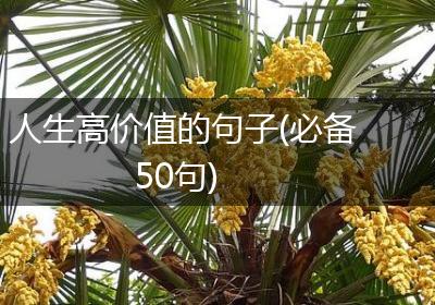 人生高价值的句子(必备50句)