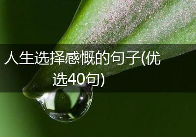人生选择感慨的句子(优选40句)