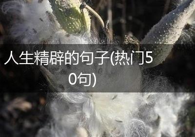 人生精辟的句子(热门50句)