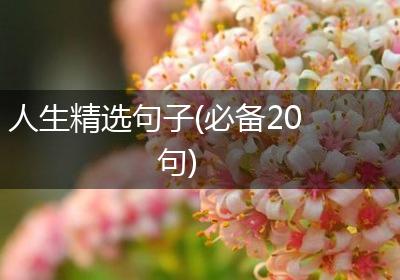 人生精选句子(必备20句)