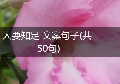 人要知足 文案句子(共50句)