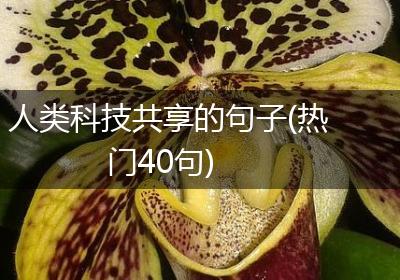 人类科技共享的句子(热门40句)