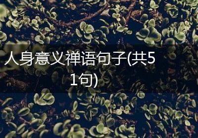 人身意义禅语句子(共51句)